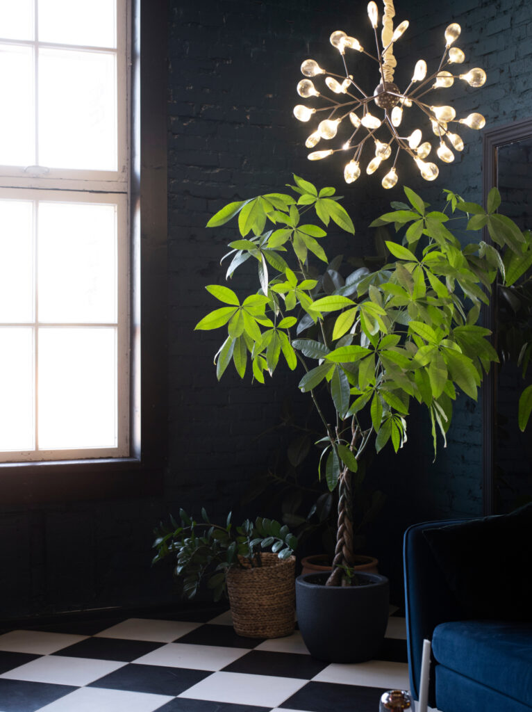 Vastu-friendly interior featuring indoor plants, natural light, contemporary furniture, and natural design elements.